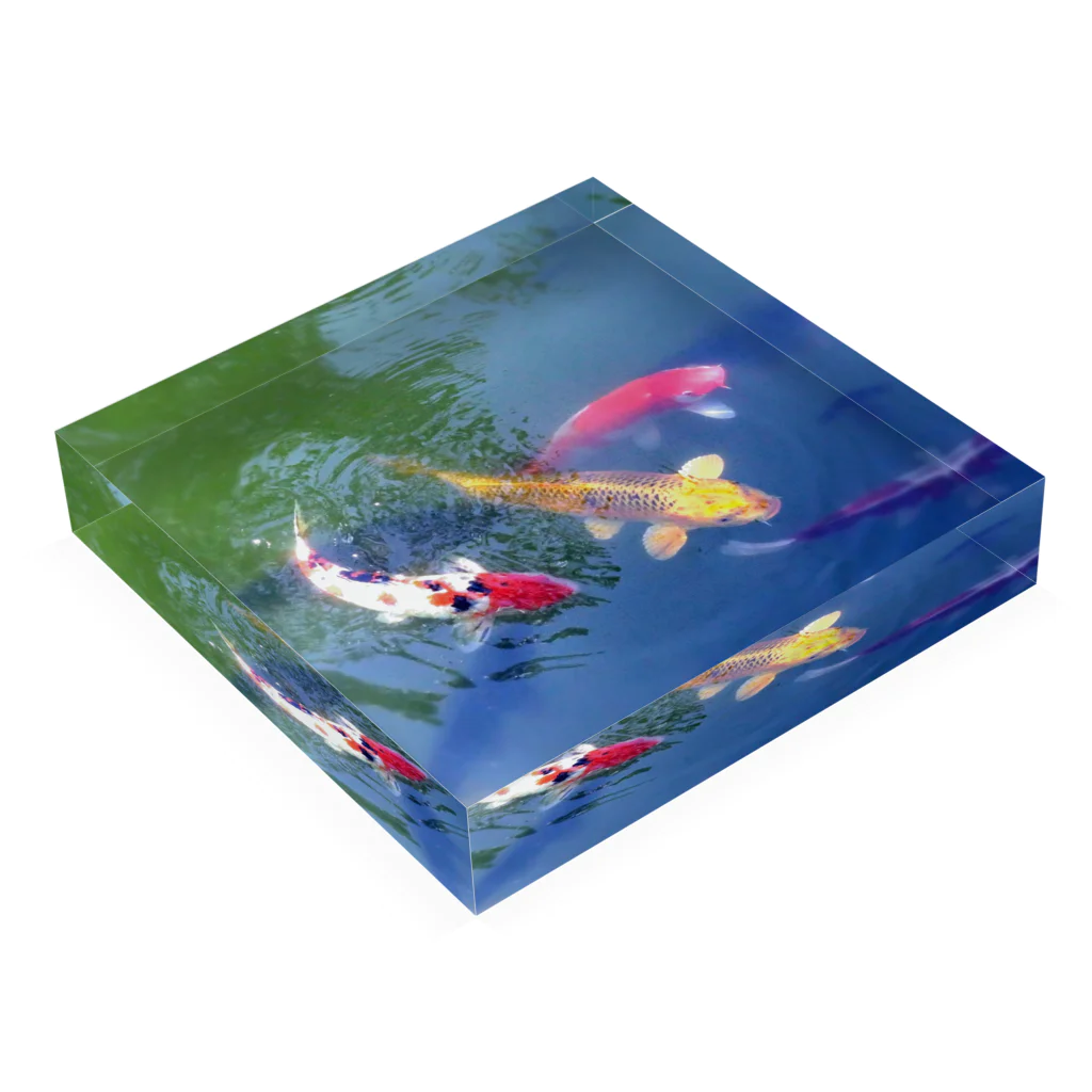 そらまめの鯉 Acrylic Block :placed flat