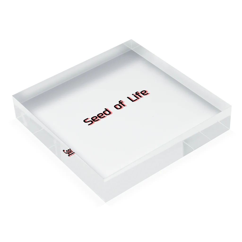 Seed of LifeのSeed of Life Acrylic Block :placed flat