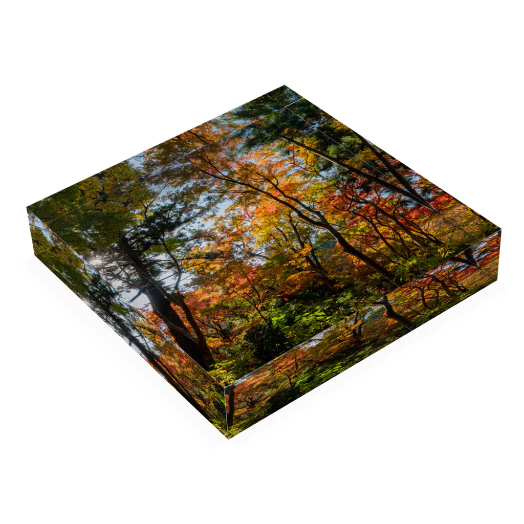 ないなら創ろう東屋のTable Fall Acrylic Block :placed flat