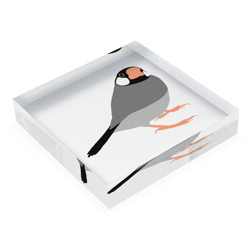 PiZakkuのエッヘン文鳥 Acrylic Block :placed flat