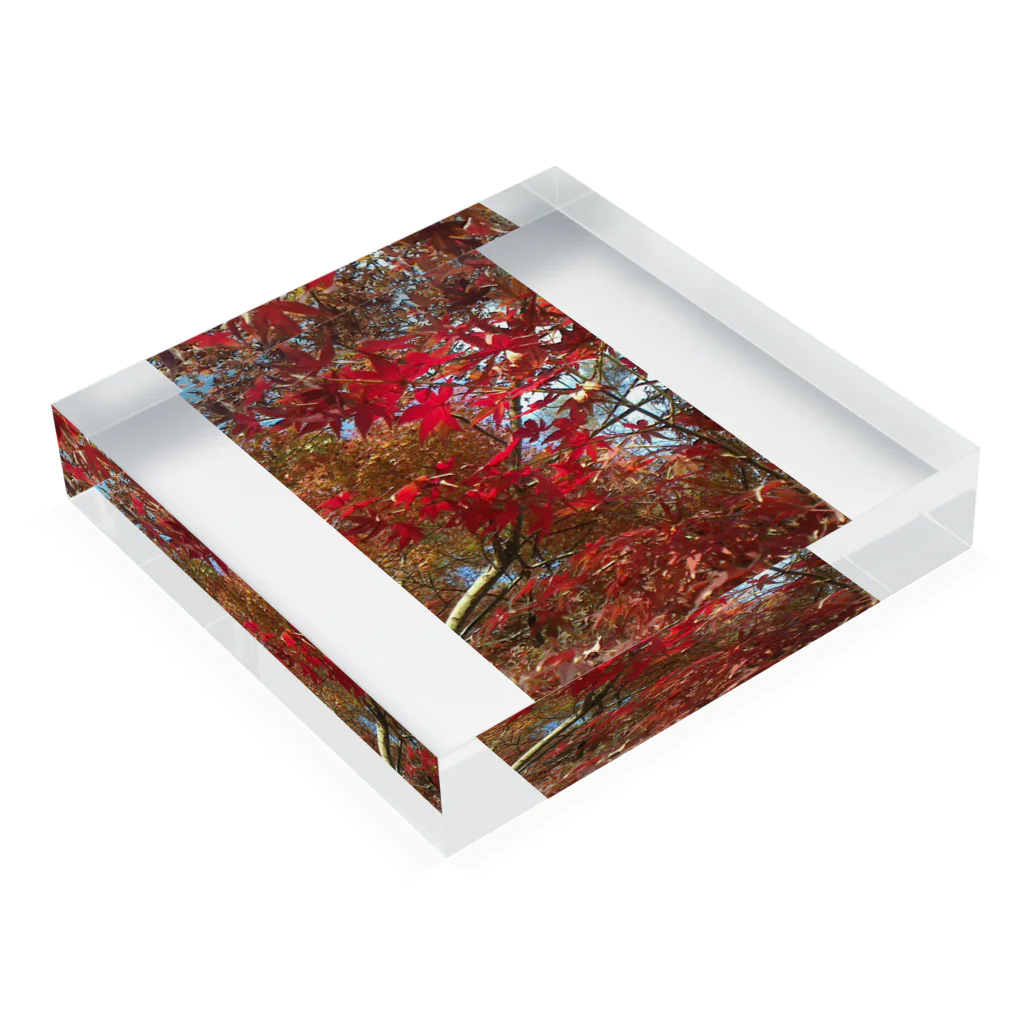 おのザ紅葉!! Acrylic Block :placed flat