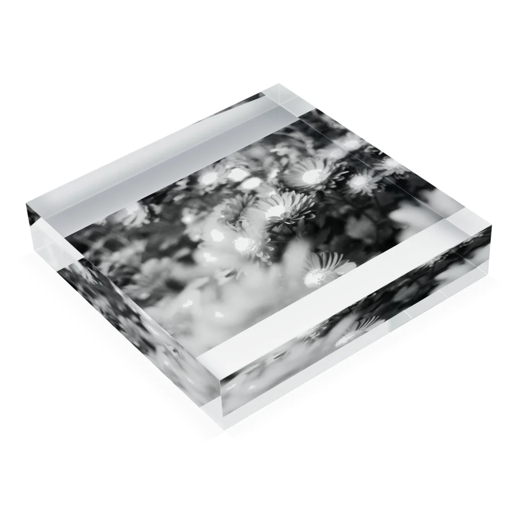 akane_art（茜音工房）のモノクロフラワー（キク） Acrylic Block :placed flat