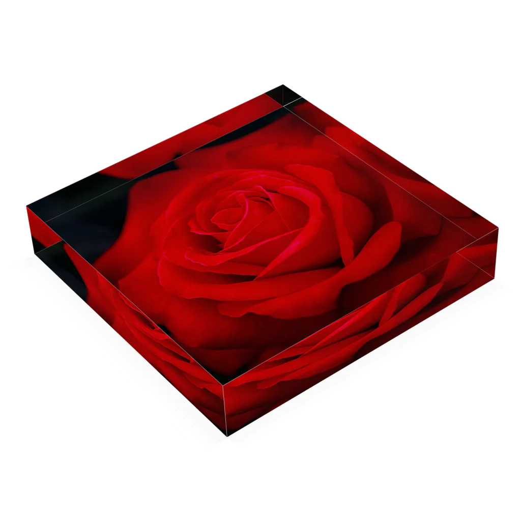 Takashi MUKAIのBlock-Photo-Rose02 Acrylic Block :placed flat