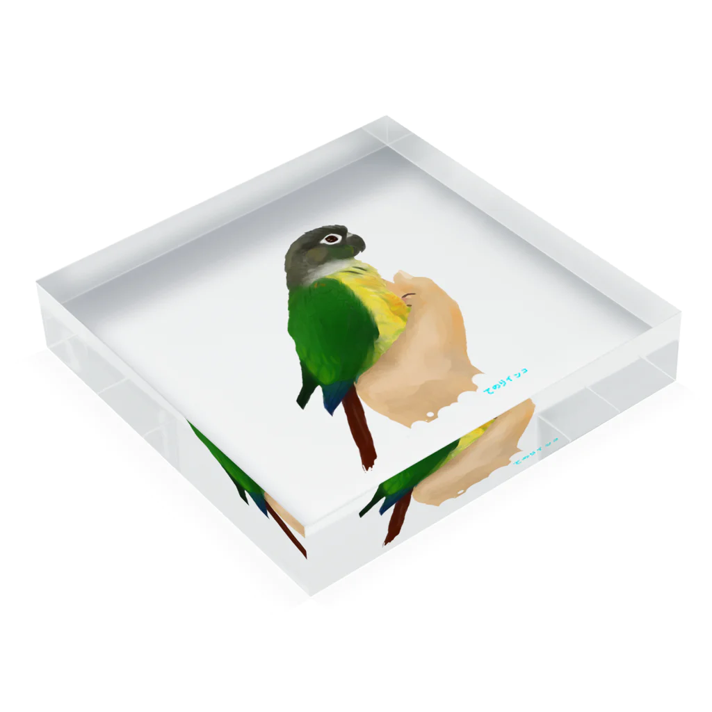 アキクサインコとウロコインコの手のりインコ、ウロコインコ Acrylic Block :placed flat