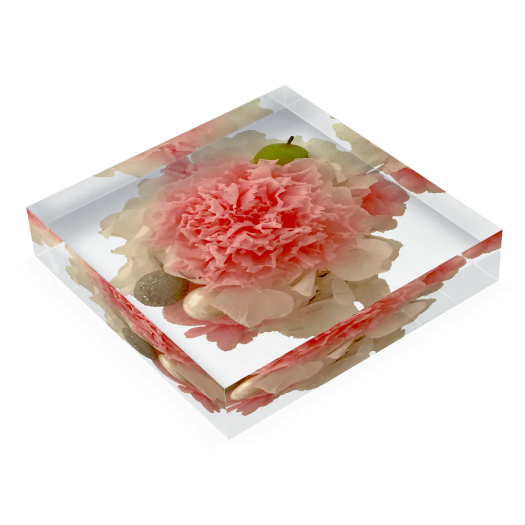 お花の双葉の薄いピンクカーネーション Acrylic Block :placed flat