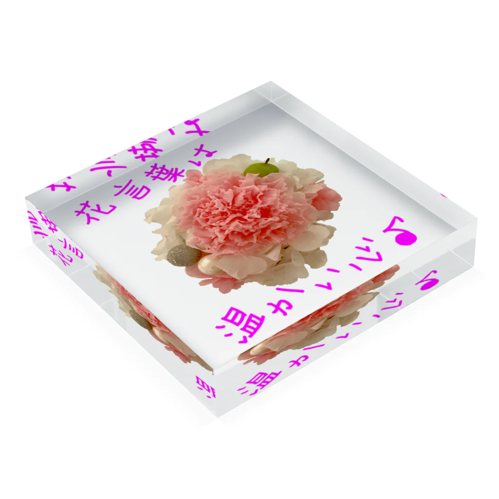 お花の双葉の薄いピンクカーネーション(花言葉) Acrylic Block :placed flat