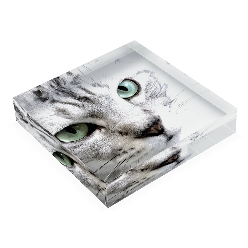 COMONOのCAT FACE JOKI Acrylic Block :placed flat