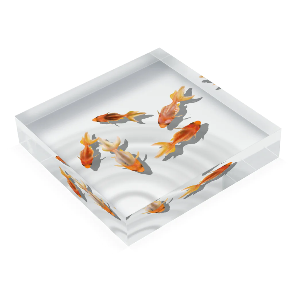 Kanshadoの金魚のアクリル板(波紋) Acrylic Block :placed flat