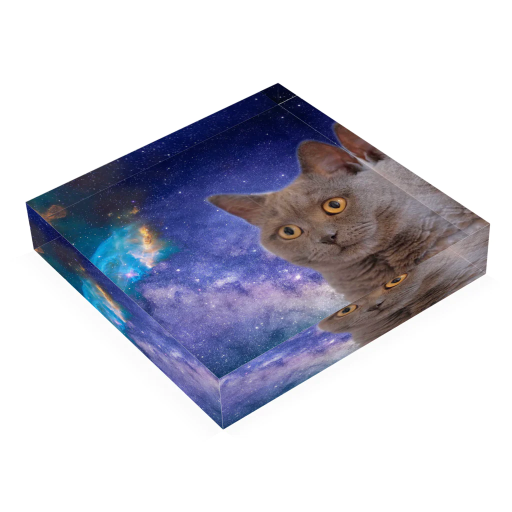 space cat storeのスペースキャット　シャノン Acrylic Block :placed flat