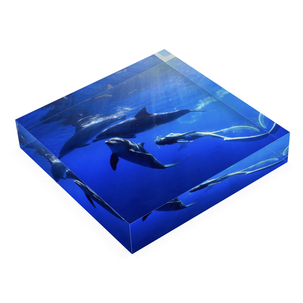 Ayano & DolphinのAyano & Dolphin 🐬✨アクリルブロック Acrylic Block :placed flat