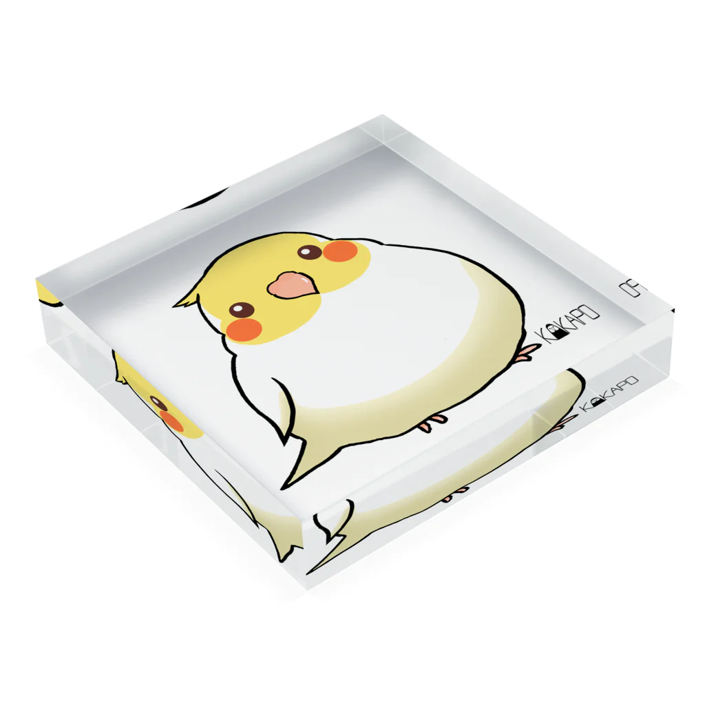 *KAKAPO*の*KAKAPO*のふんわりオカメインコちゃん(るちの) Acrylic Block :placed flat