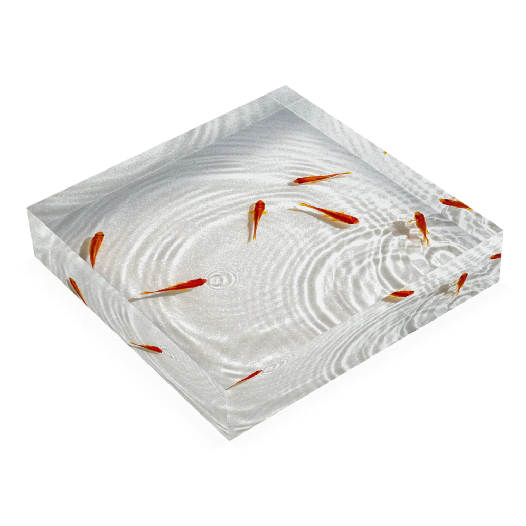 HOKO-ANの泳ぐ金魚2 Acrylic Block :placed flat