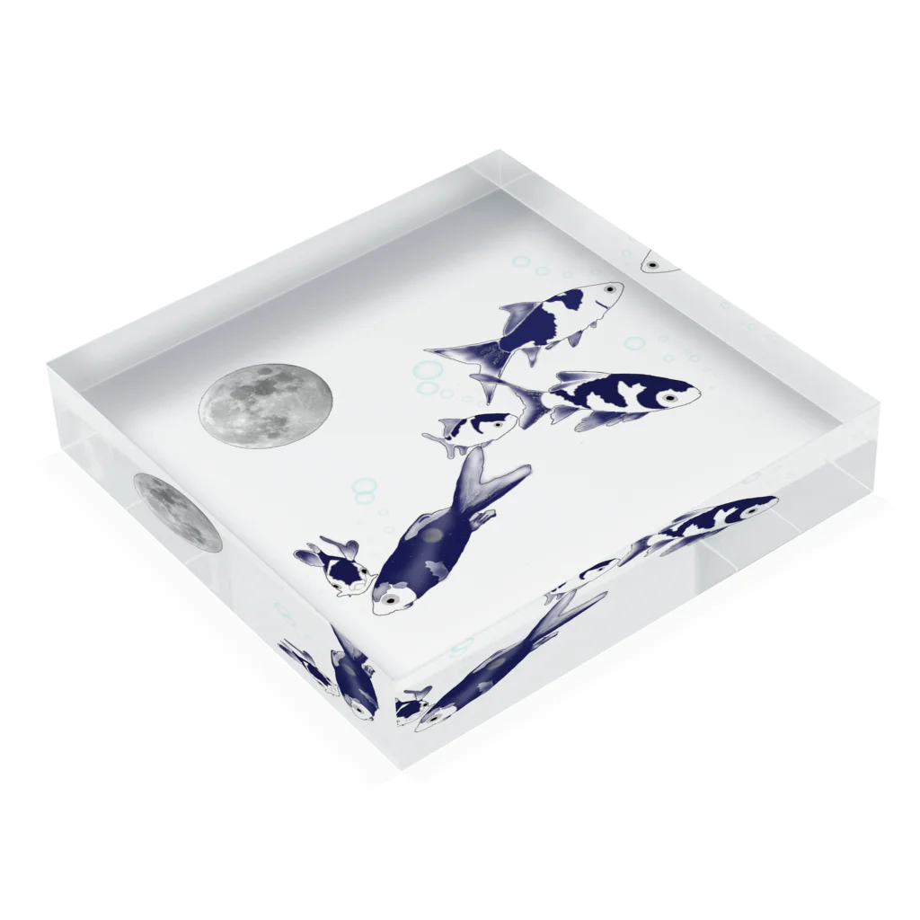 なるときんときんSHOPの夜の金魚 Acrylic Block :placed flat