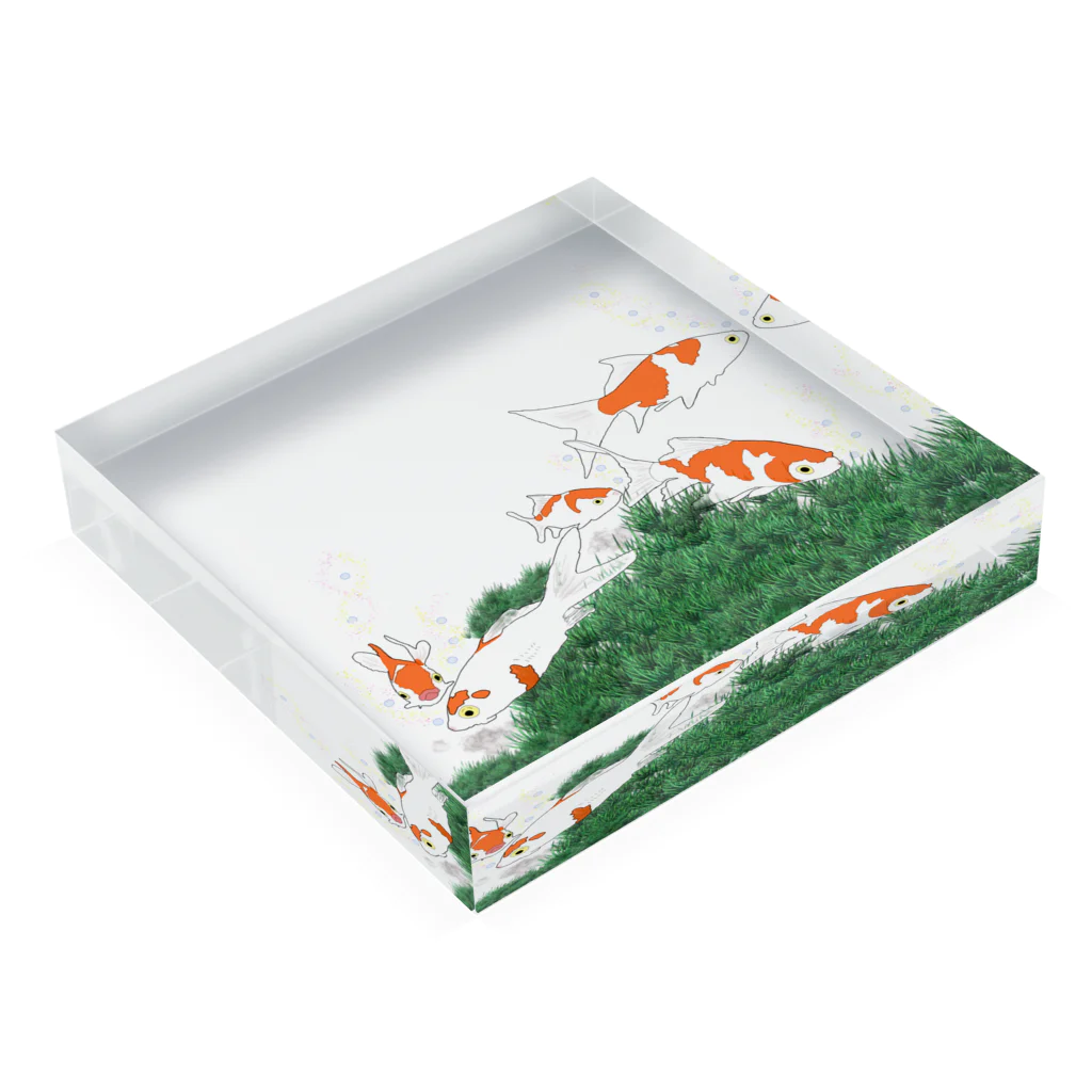 なるときんときんSHOPの金魚（スタンダード） Acrylic Block :placed flat