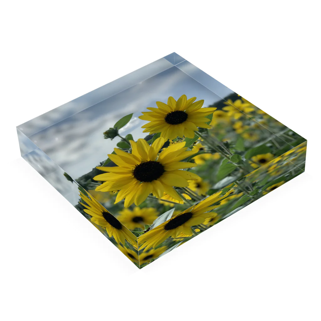 眺めて癒されるLoveのもののひまわり Acrylic Block :placed flat