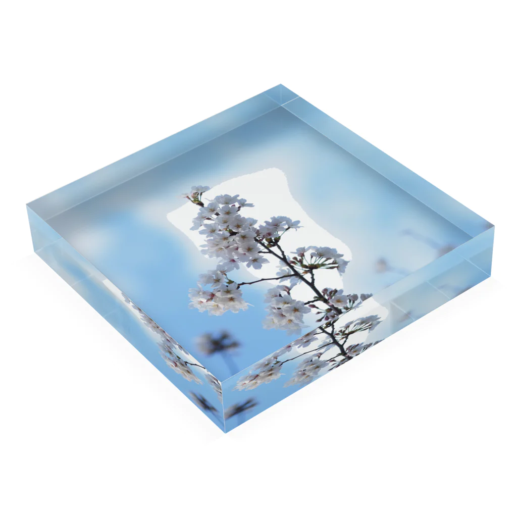 KOUTA TANIGUCHIのsakura1 Acrylic Block :placed flat