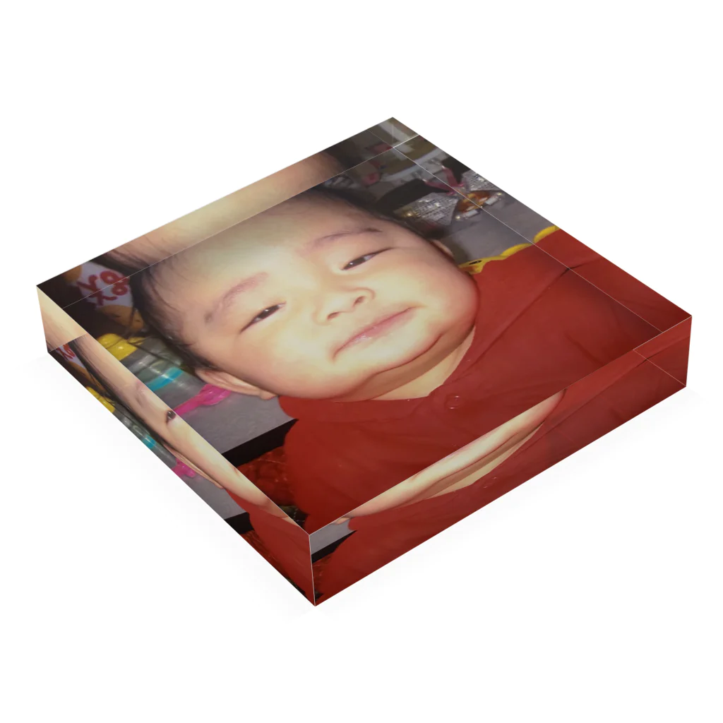 大きくなった巣の戸部乳幼児期 Acrylic Block :placed flat