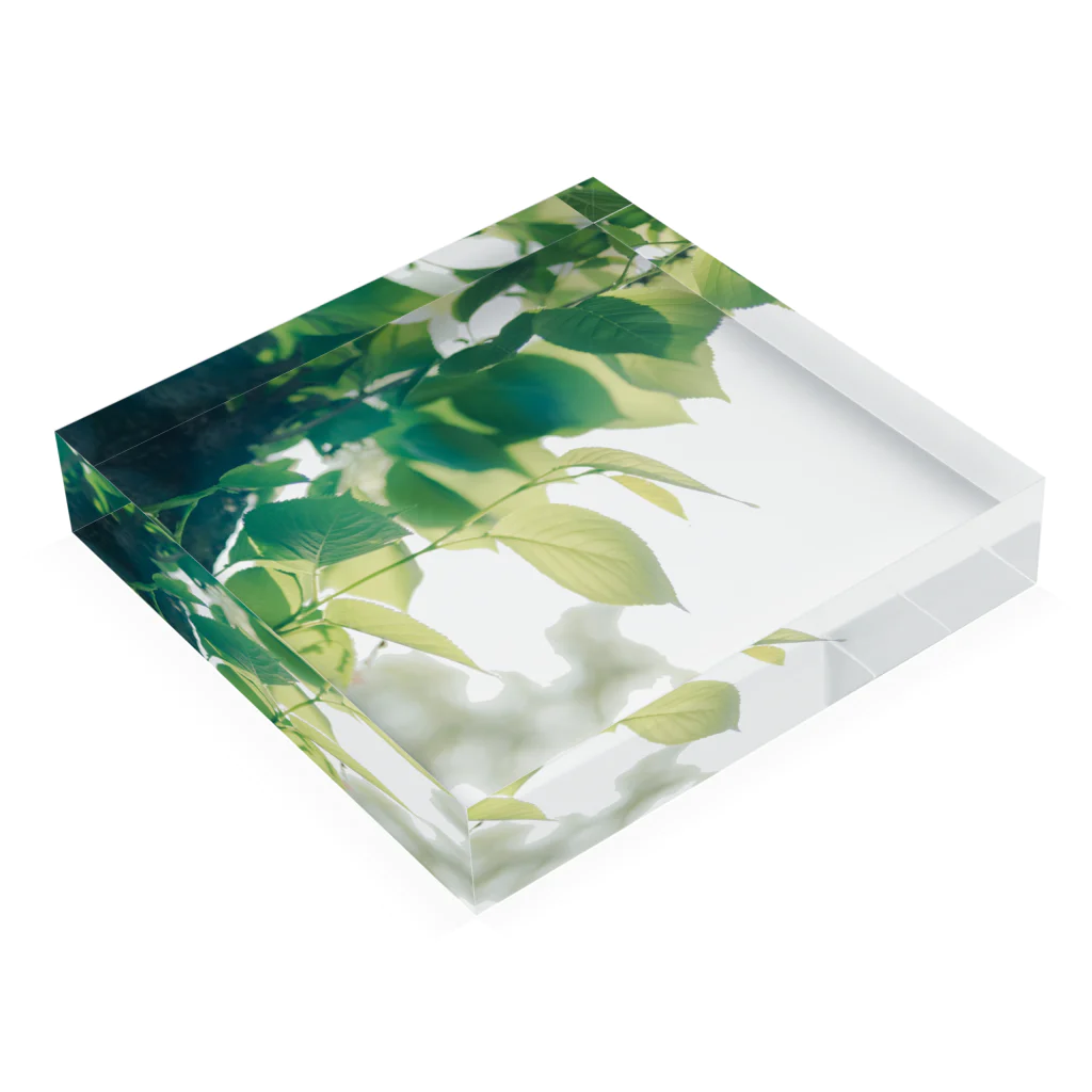 #エイチナナハチの Cherry blossoms Acrylic Block :placed flat