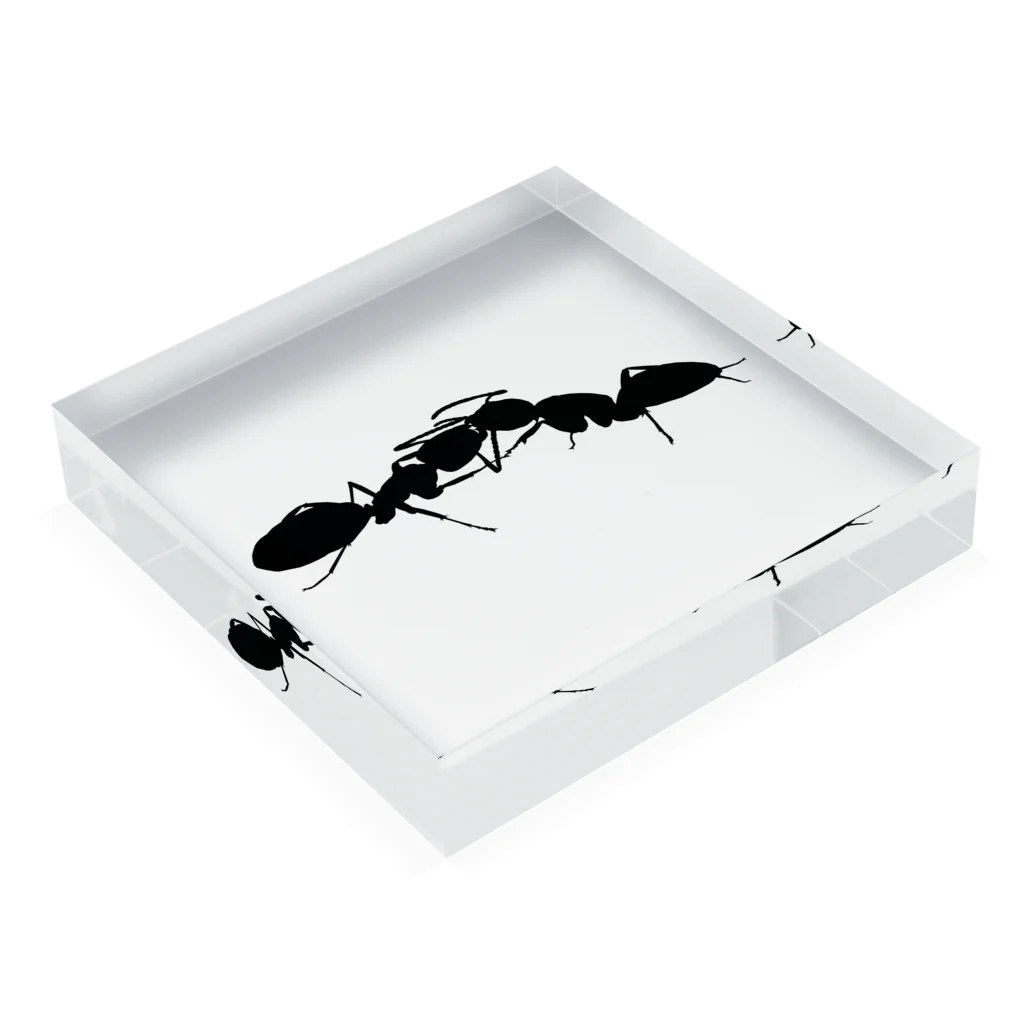 ANT☆Diaryのアリんちゅー Acrylic Block :placed flat