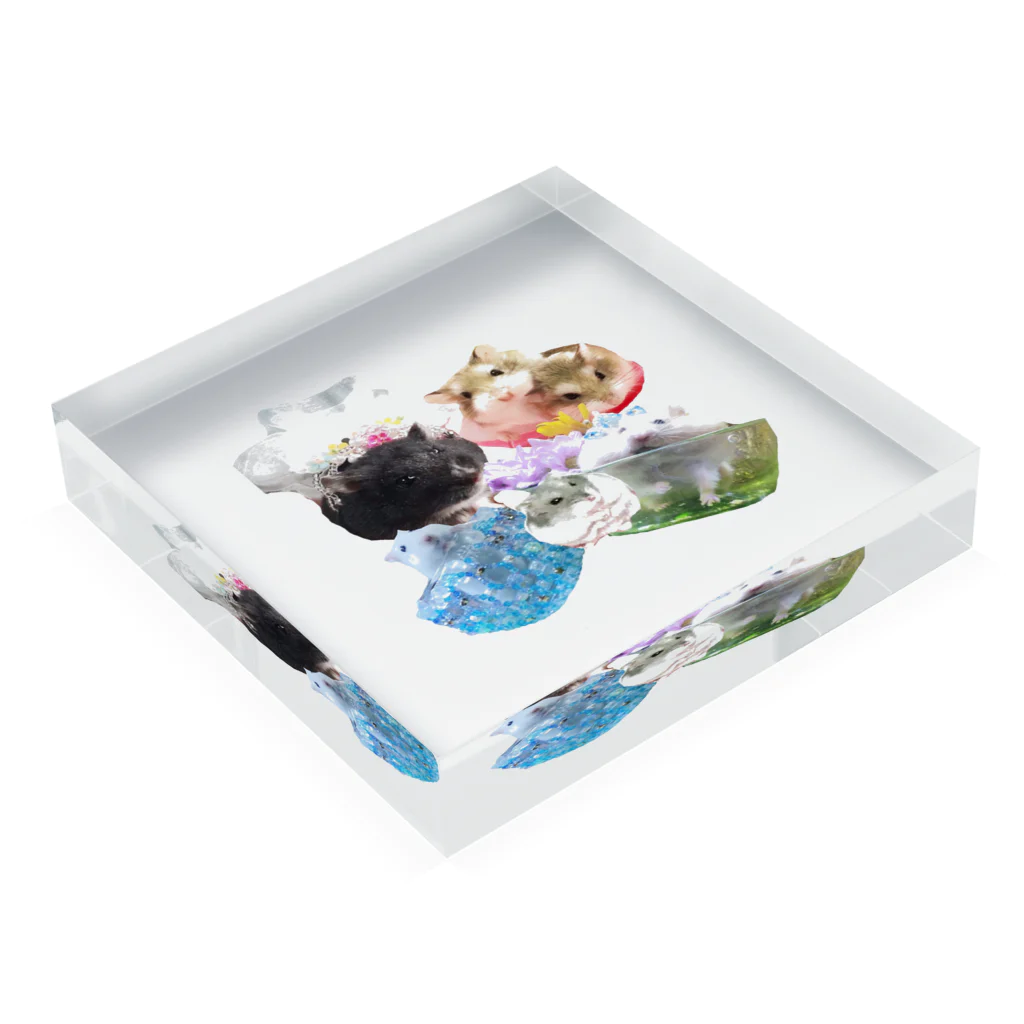 COSMIC Galleryのうちの子勢揃い Acrylic Block :placed flat