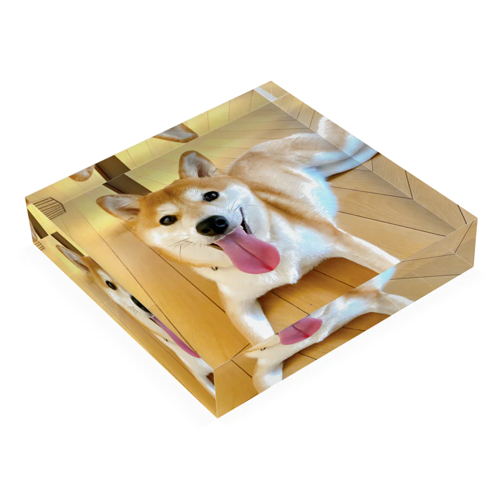 笛ガムの舌しゃもじ犬 Acrylic Block :placed flat