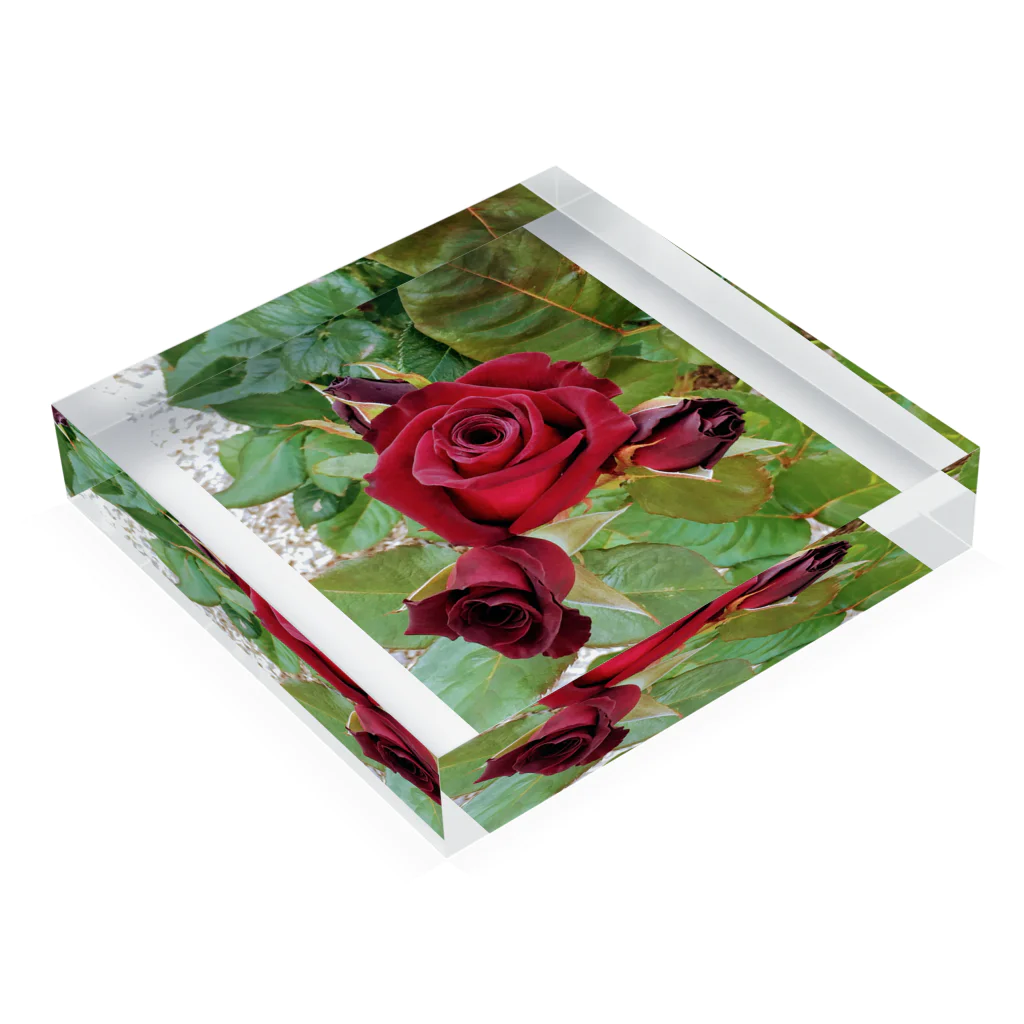 猫のhananyanの薔薇が咲いた～薔薇が咲いた～真っ赤な薔薇が～♩ Acrylic Block :placed flat
