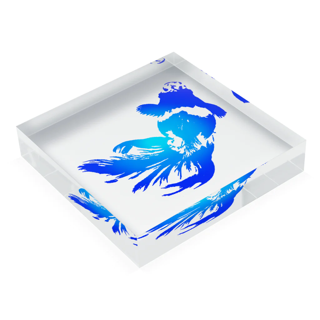 むぎの金魚 Acrylic Block :placed flat