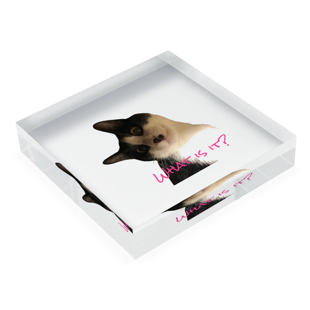 mooncatのMy cat R Acrylic Block :placed flat