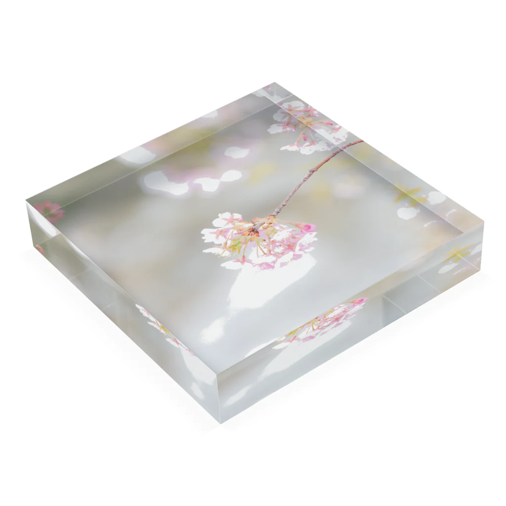 M's photographyのキラキラの桜 Acrylic Block :placed flat