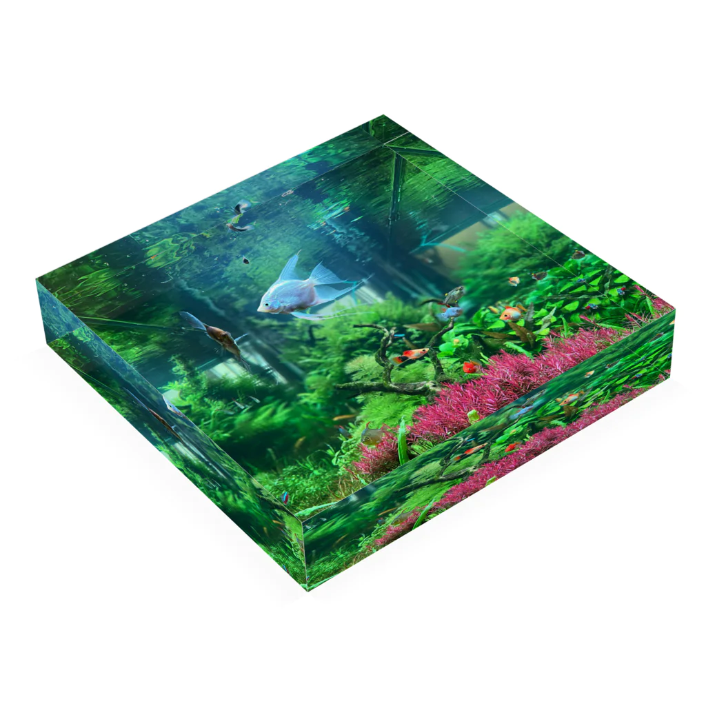 shirado_kazukiの水世界 Acrylic Block :placed flat