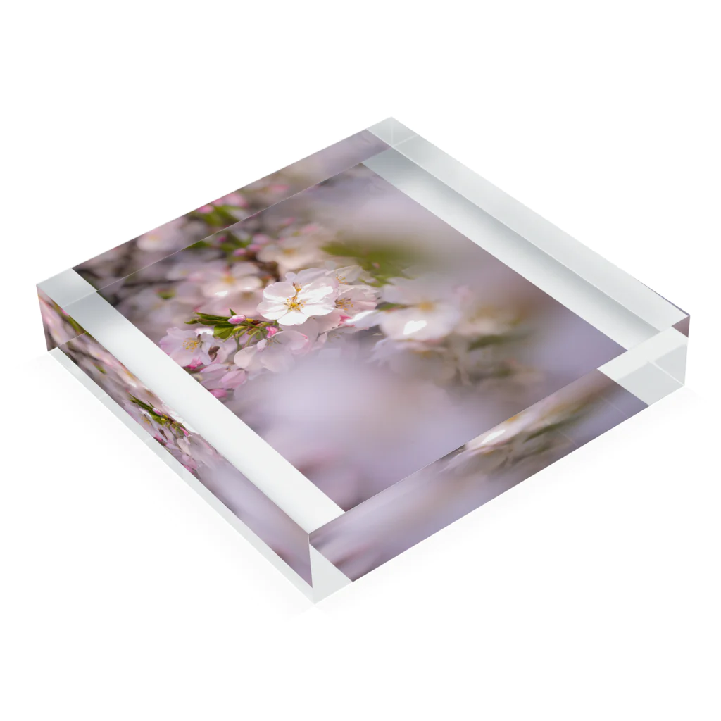 unxgraphyのSAKURA 2 Acrylic Block :placed flat