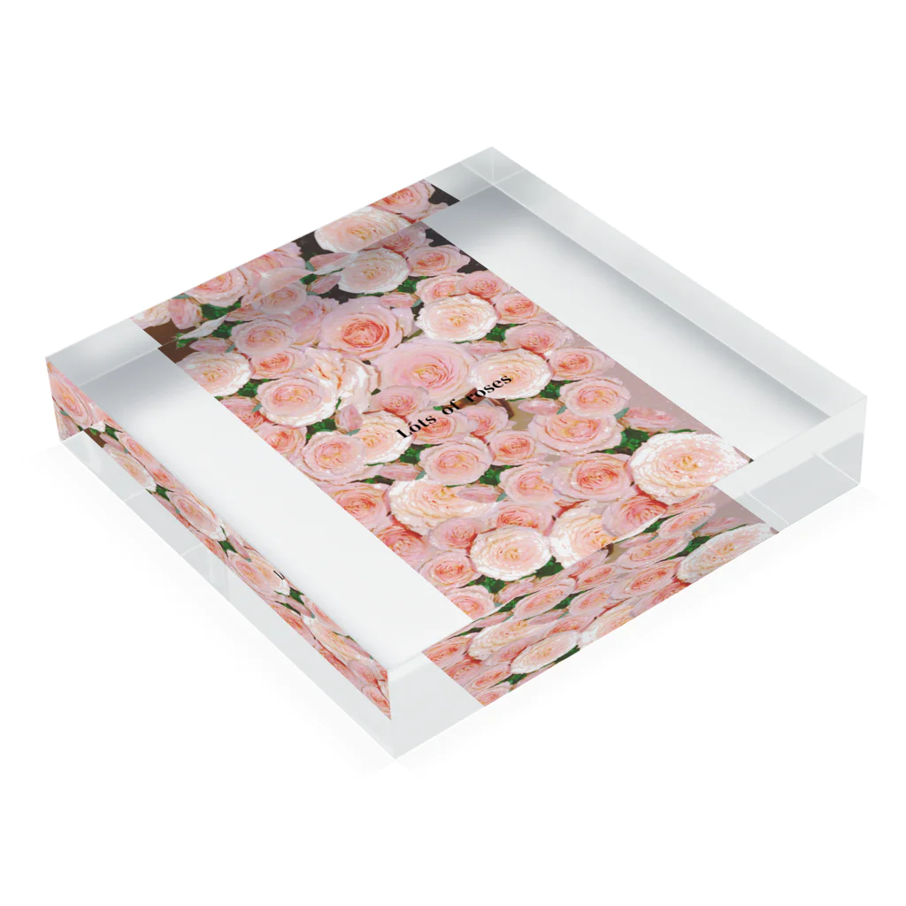 水彩屋のLots of roses Acrylic Block :placed flat