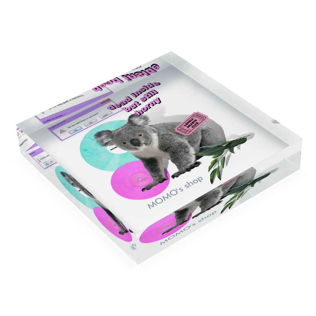 𝙈𝙊𝙈𝙊'𝙨 𝙎𝙝𝙤𝙥のコアラKING Acrylic Block :placed flat