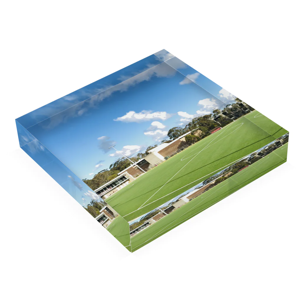 ピクミンのsoccer ground ⚽️ Acrylic Block :placed flat