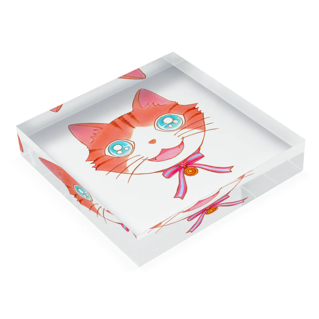 sanasanaのBlueeyes Cat Acrylic Block :placed flat