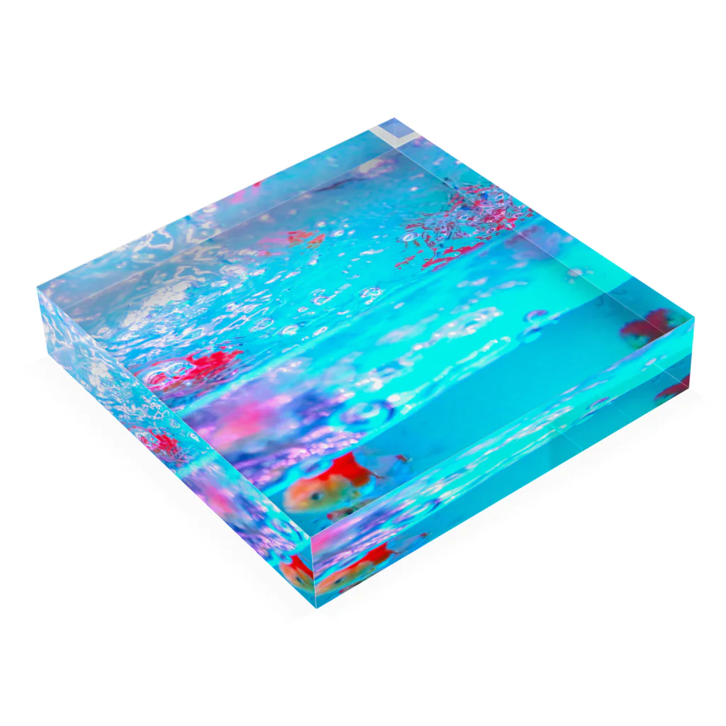 NEON LIGHT STARSの透明金魚アクリルブロック Acrylic Block :placed flat