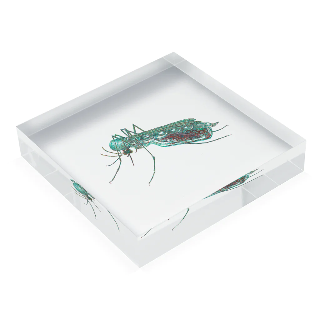 Canvasのラムネ蚊 Acrylic Block :placed flat