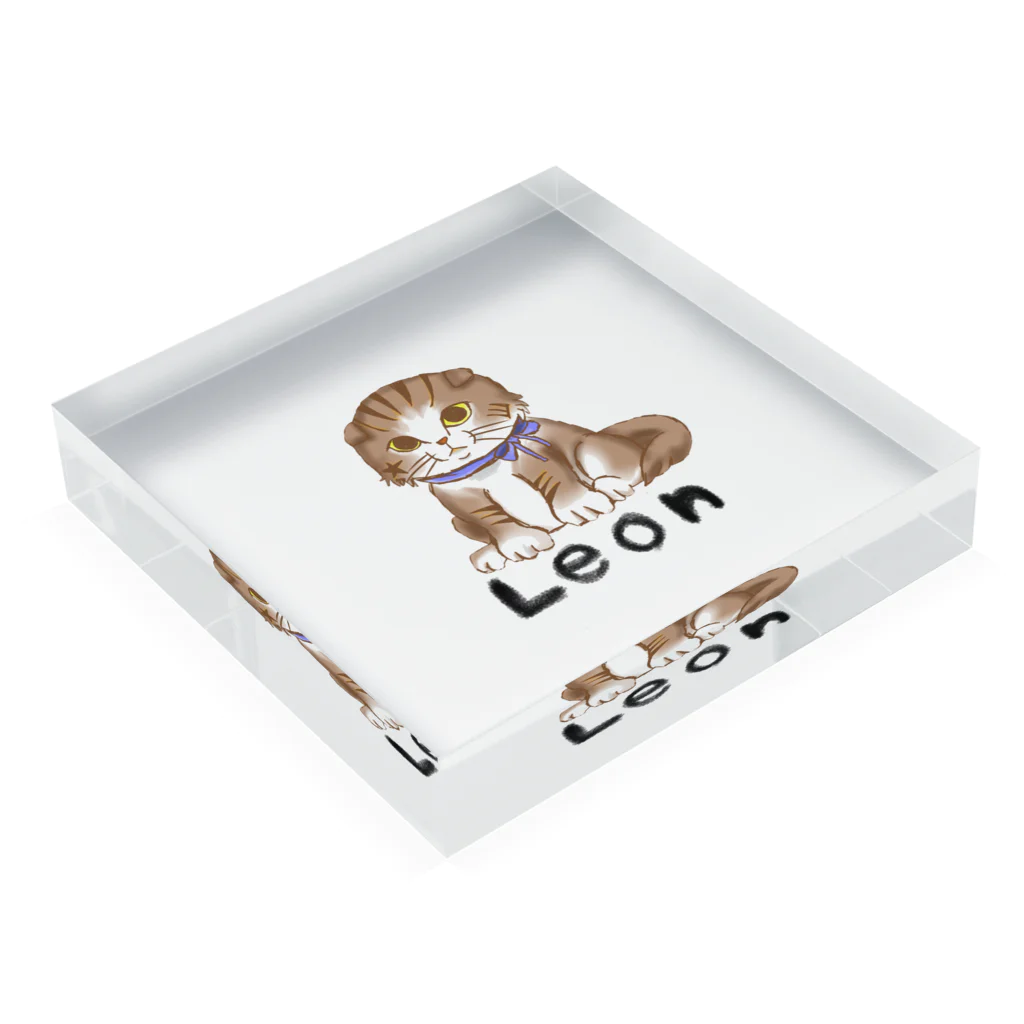 "Schönheit" シェーンハイトの猫のLEON(レオン) Acrylic Block :placed flat