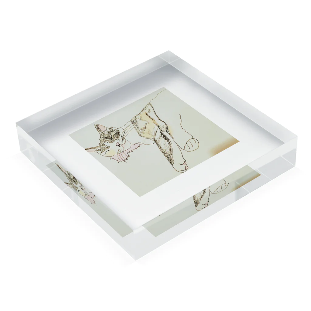 mydaringistabbycat  ダーリンはとらねこ　のねてるみのり Acrylic Block :placed flat