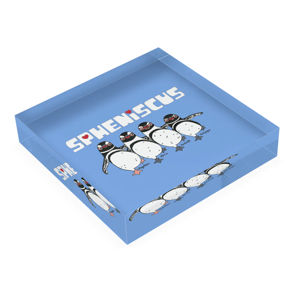 penguininkoのSpheniscusquartet blueversion② アクリルブロックの平置き