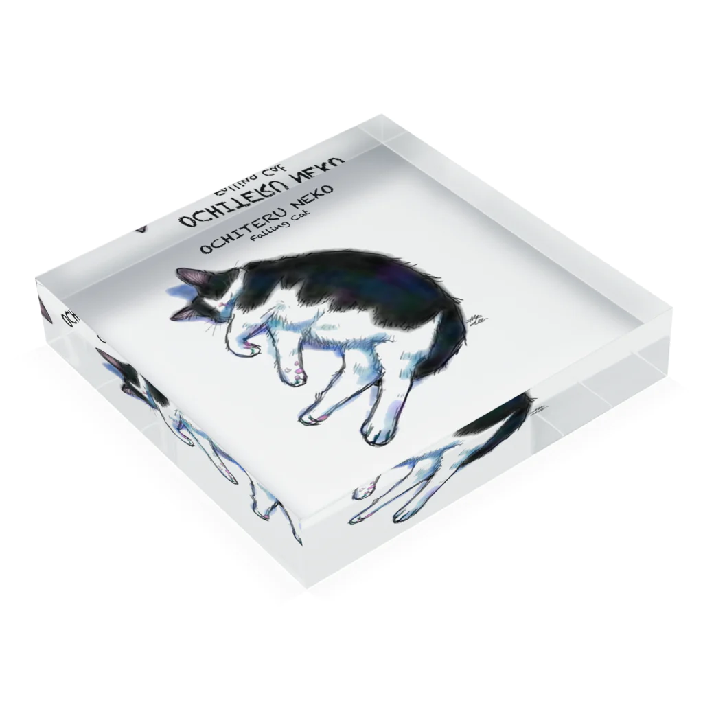 ねこねこ堂の落ちてる猫（ハチワレ） Acrylic Block :placed flat