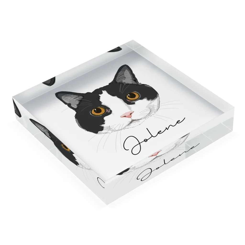 みきぞーん｜保護猫 ミッキー画伯と肉球とおともだちのjolene Acrylic Block :placed flat