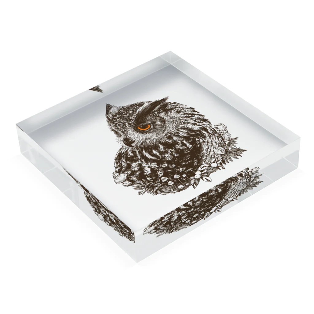 ふじゆらのワシミミズクの森 Acrylic Block :placed flat