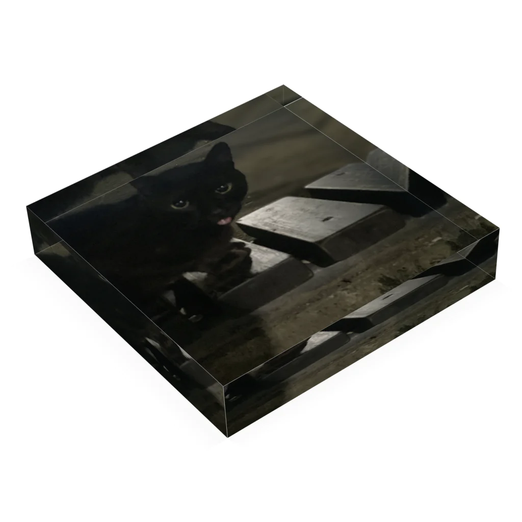neko_00_nekoの黒猫さん Acrylic Block :placed flat