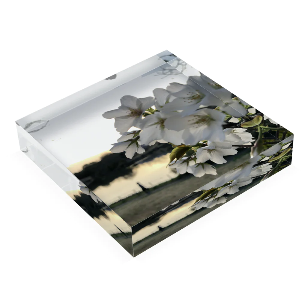 №820の№820 Acrylic Block :placed flat