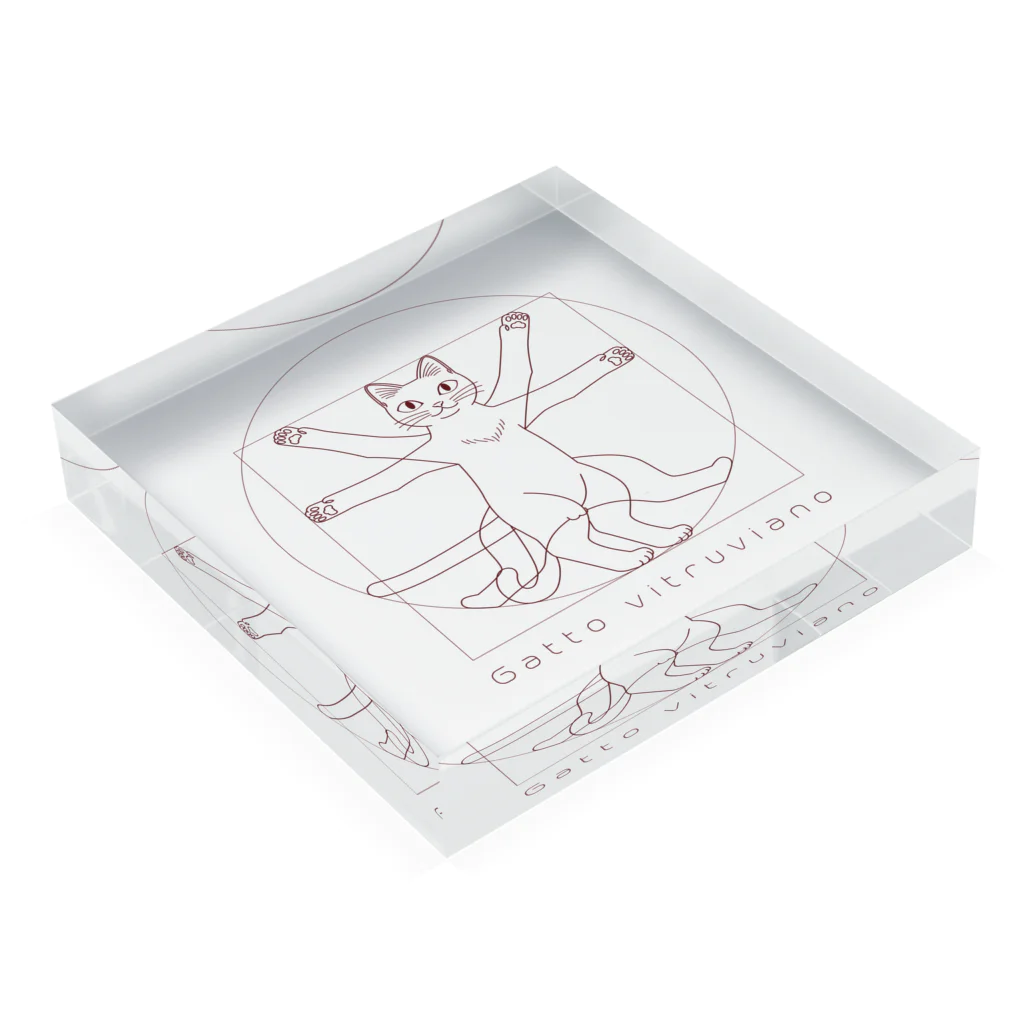 Neko-Shika-Katanのウィトルウィウス的にゃん体図（茶） Acrylic Block :placed flat