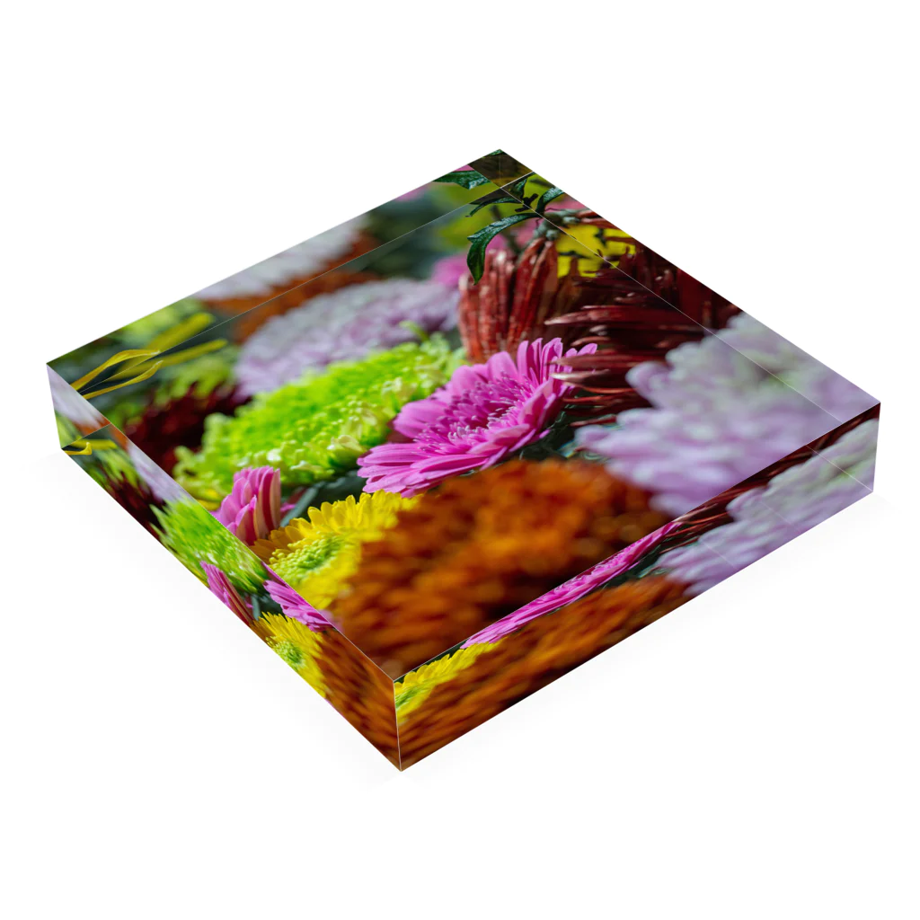 きょろしょっぷのお花 Acrylic Block :placed flat