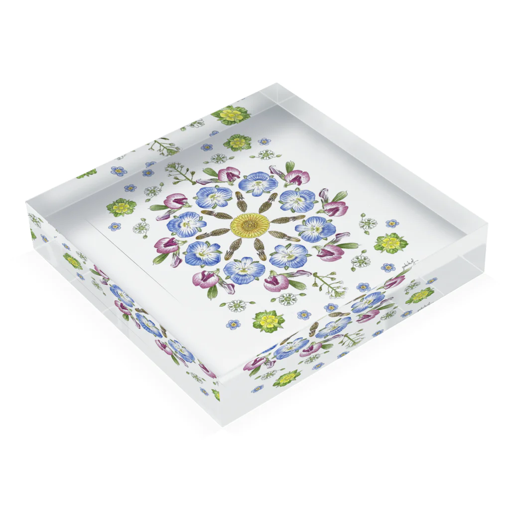 チョビのSpringflower Acrylic Block :placed flat