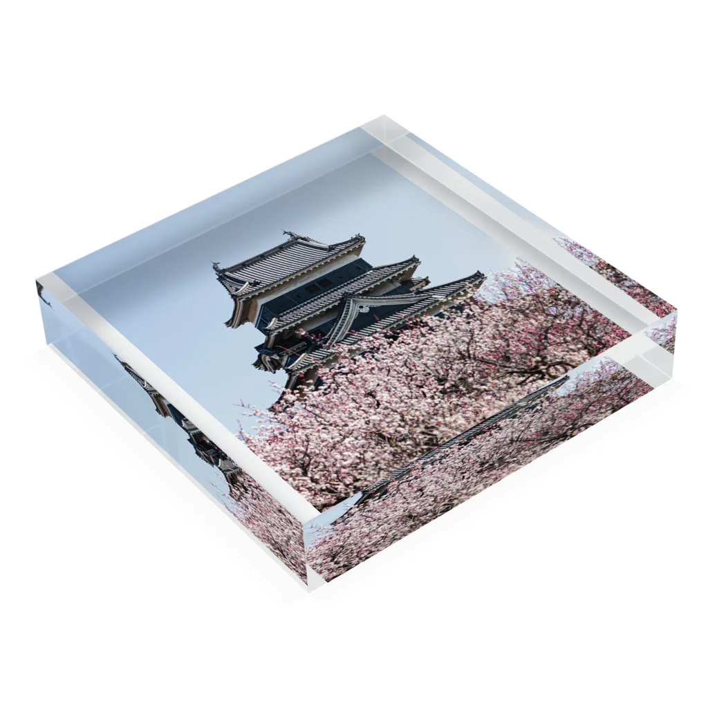 Eishiの松本城と梅 Acrylic Block :placed flat