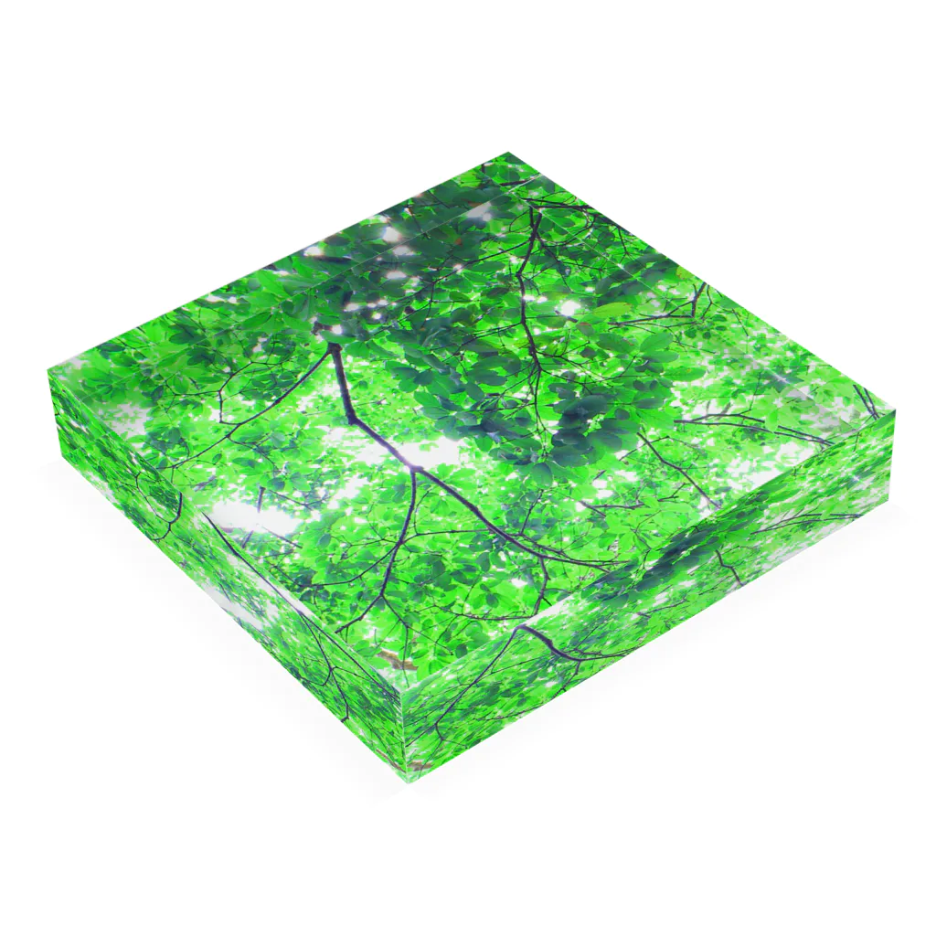 fée de la roseのVert frais Acrylic Block :placed flat